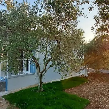 Zeytindali *
